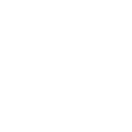 DAMS