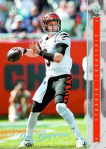 BASE LUMINANCE, Burrow