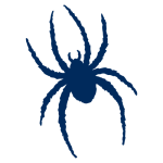 Richmond Spiders