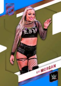 BASE ASPIRATIONS DIE-CUT, Liv Morgan